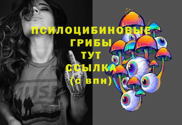 mdpv Белокуриха