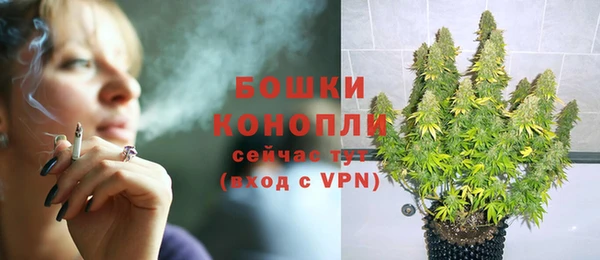 mdpv Белокуриха